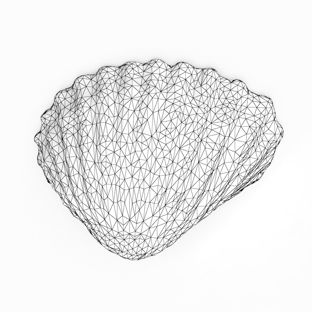 3D seashell sea shell https://p.turbosquid.com/ts-thumb/DB/B5I25Z/C3rlkzi3/cockle3_r1w/jpg/1499896663/1920x1080/fit_q87/40c6f2b1e20cd8a45ddda4198547f17f882d70bf/cockle3_r1w.jpg
