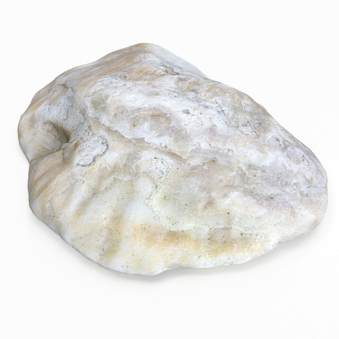 3D seashell sea shell https://p.turbosquid.com/ts-thumb/DB/B5I25Z/RkKo1O35/oystershell01_r5/jpg/1499896664/1920x1080/fit_q87/43dfc2681ec33709eb77c2d9ddaa92bf9e12ff7e/oystershell01_r5.jpg