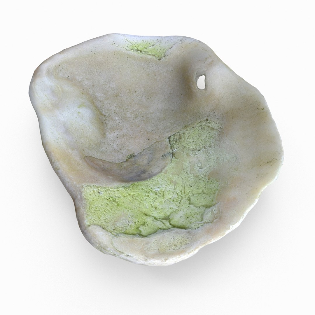 3D seashell sea shell https://p.turbosquid.com/ts-thumb/DB/B5I25Z/YZ1aVByd/oystershell01_r6/jpg/1499896664/1920x1080/fit_q87/4b7d1cec12961d3b330581b92296eb9d5967c6bc/oystershell01_r6.jpg