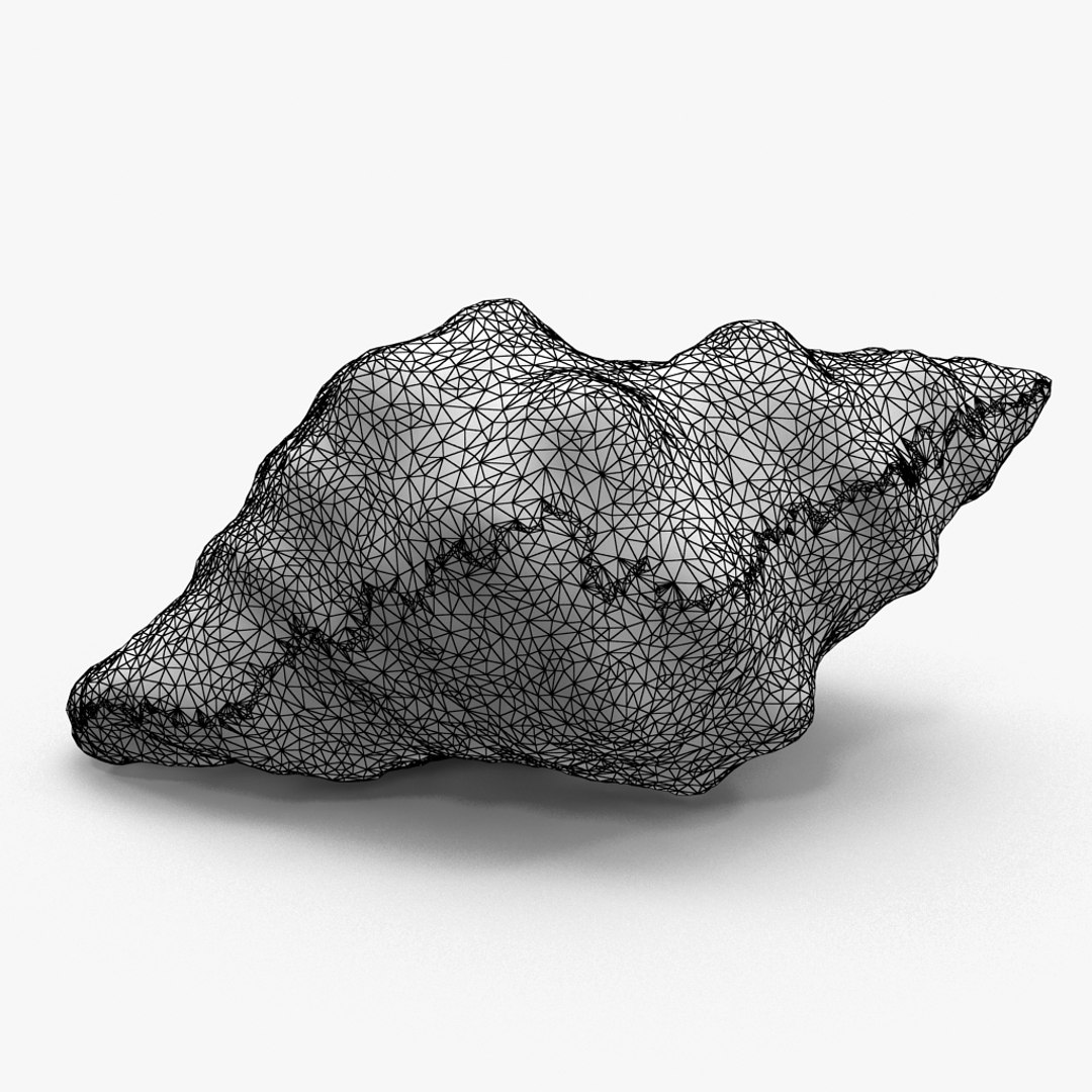 3D seashell sea shell https://p.turbosquid.com/ts-thumb/DB/B5I25Z/YfQH0BId/winkleshell01_r1w/jpg/1499896665/1920x1080/fit_q87/e7621411ec3698b34a4eca7efcfd89f9c7a6acba/winkleshell01_r1w.jpg