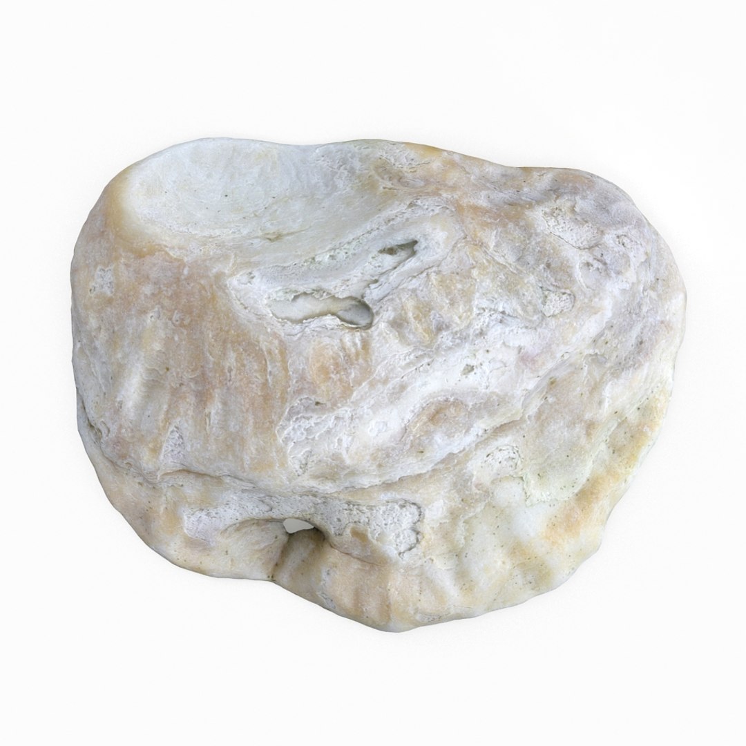 3D seashell sea shell https://p.turbosquid.com/ts-thumb/DB/B5I25Z/aU3ZIcsY/oystershell01_r1/jpg/1499896664/1920x1080/fit_q87/0de56c116d0a434ee163a05751fd9f851abe6ca5/oystershell01_r1.jpg