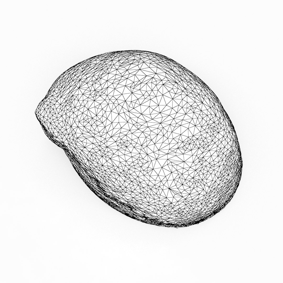 3D seashell sea shell https://p.turbosquid.com/ts-thumb/DB/B5I25Z/bK5qTVRL/kn2_r1w/jpg/1499896664/1920x1080/fit_q87/af9051c1f7d37f721abec84e271bb6e181ed9609/kn2_r1w.jpg