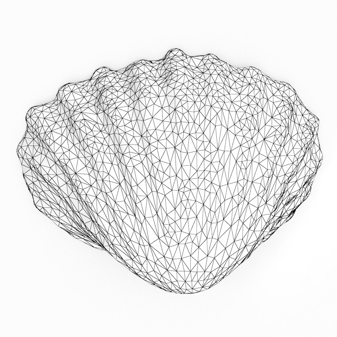 3D seashell sea shell https://p.turbosquid.com/ts-thumb/DB/B5I25Z/kX78NjXm/cockle5_r1w/jpg/1499896663/1920x1080/fit_q87/456ad809888d8d17ff58018ea16baaa7daa4f41a/cockle5_r1w.jpg