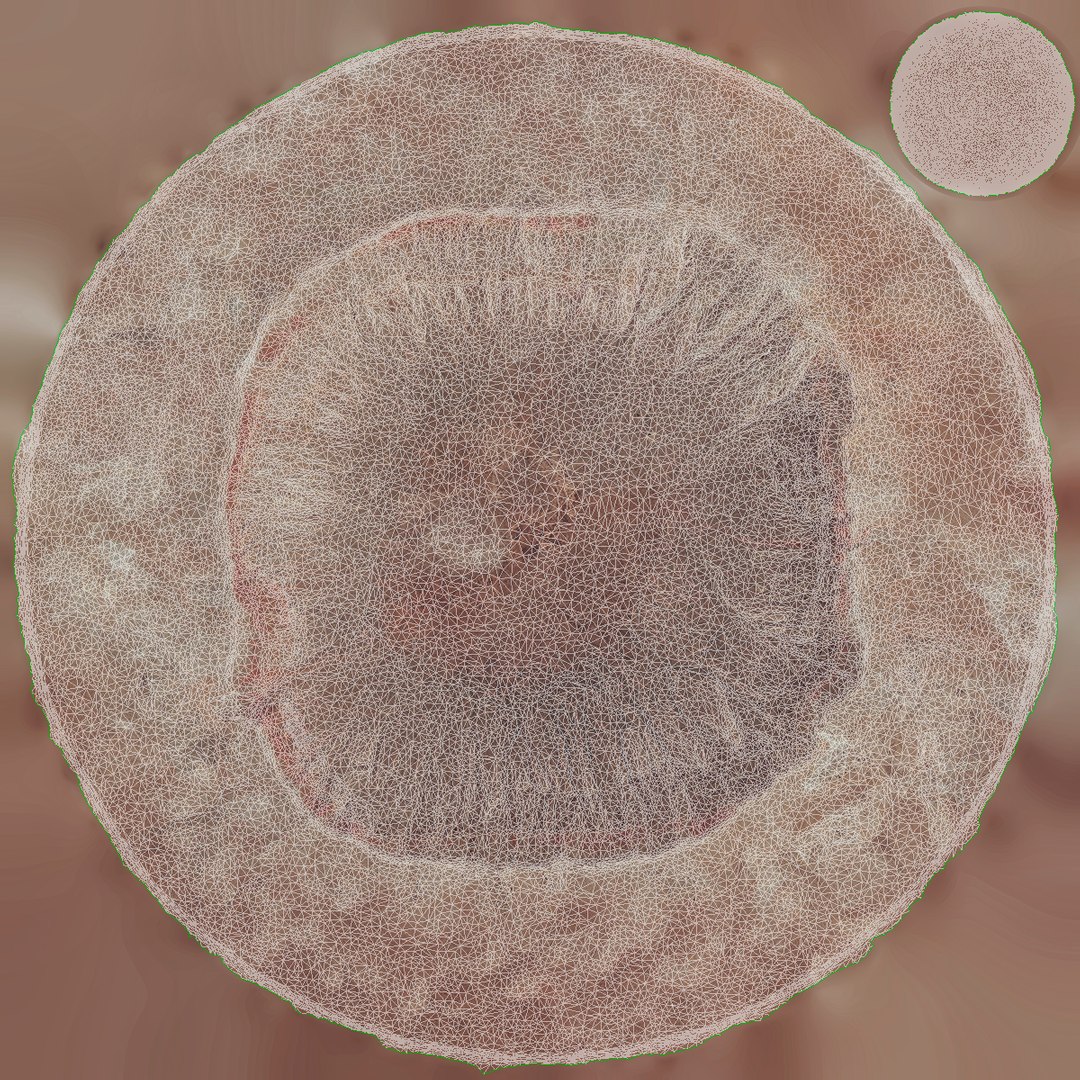 Barringer Crater model https://p.turbosquid.com/ts-thumb/DB/GCqIox/4H/16_uv/jpg/1735009946/1920x1080/fit_q87/22ad4054b22b58be29a13486827f0a52a2e81e3e/16_uv.jpg