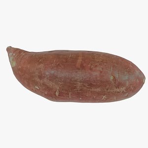 3D Scanned Sweet Potato 3 LOD set 3D model