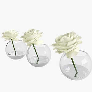 max roses white glass vessel