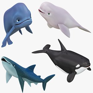 Cartoon Whale 4 in 1 3D model