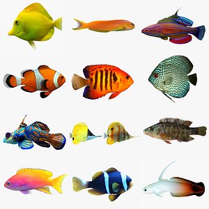 3ds max fish aquarium