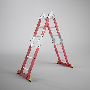 3d scaffold ladder