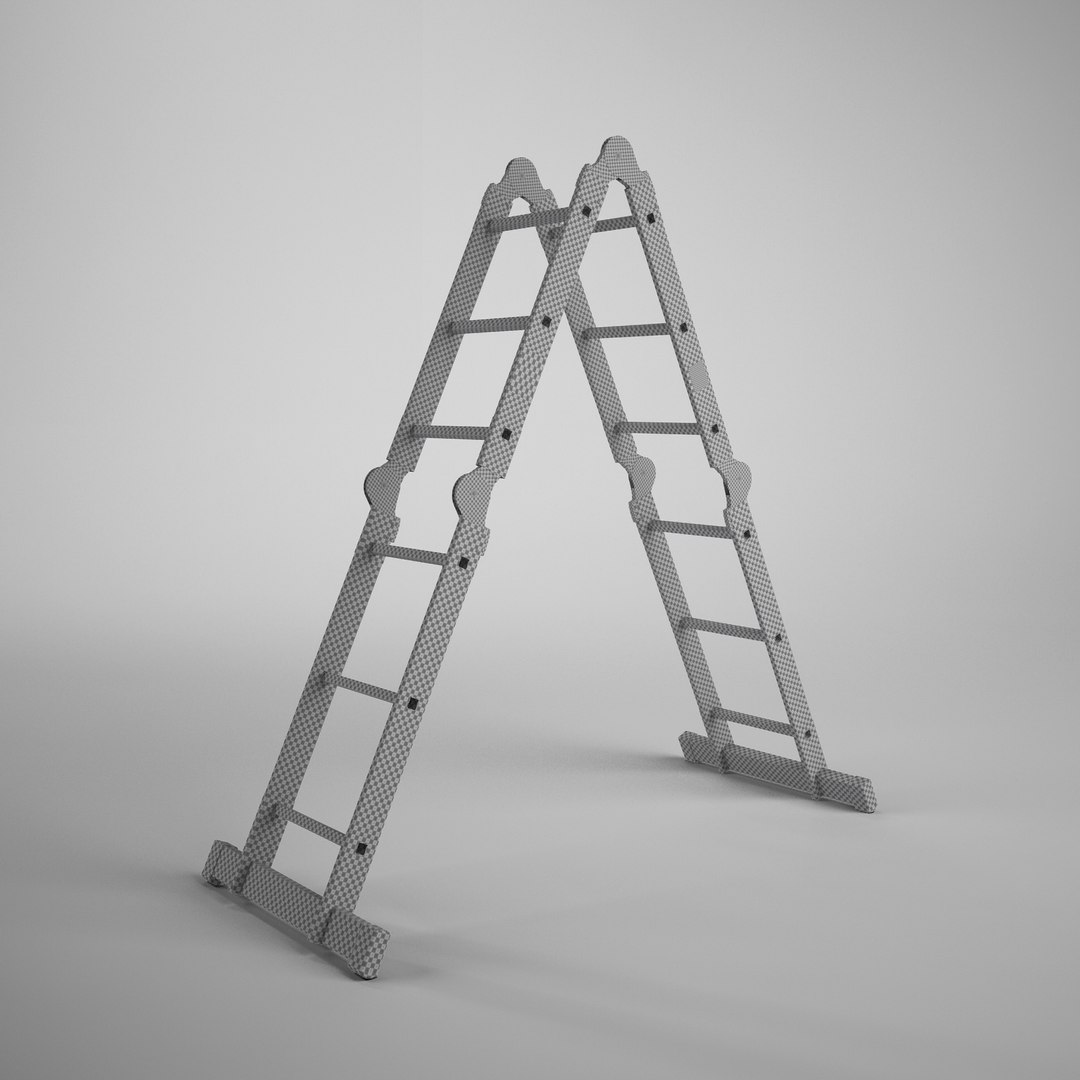 3d scaffold ladder