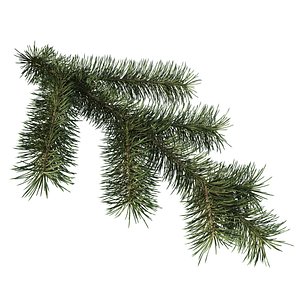 Branch of Pine Christmas Tree Needles
