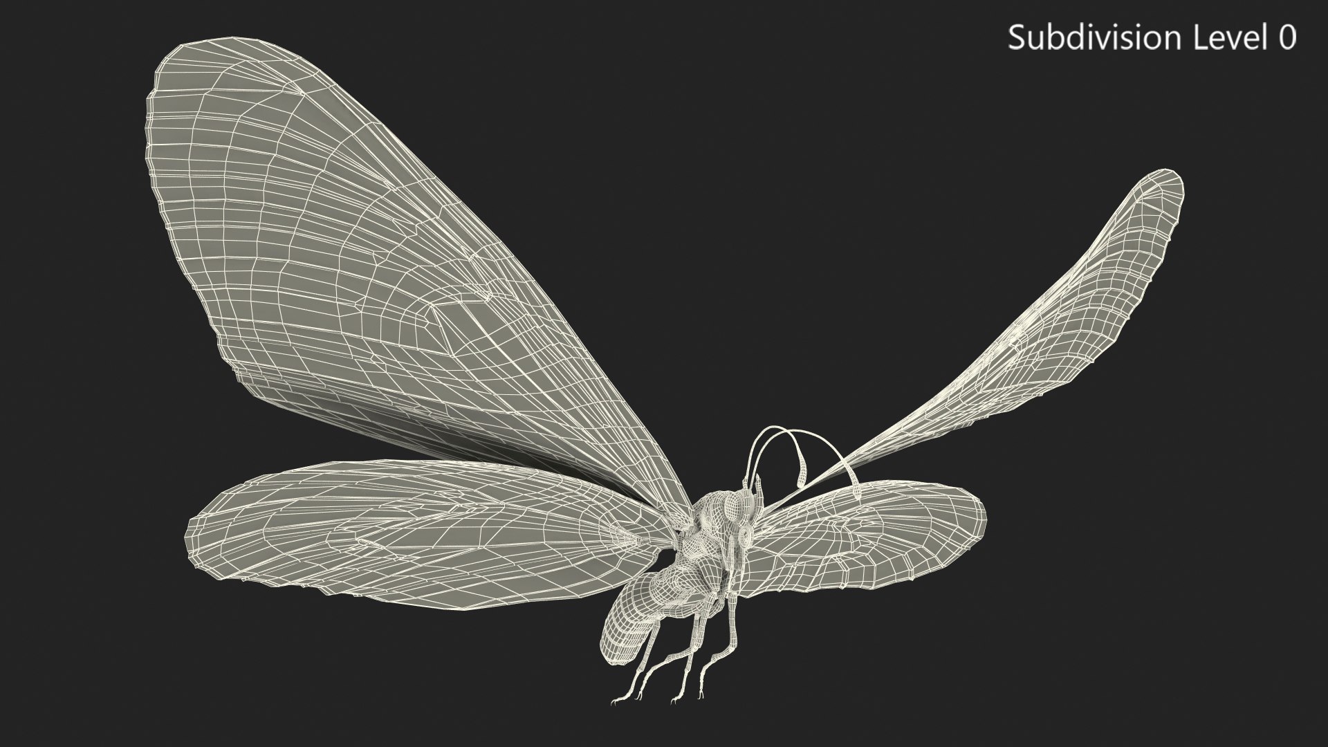 flying monarch butterfly fur 3D https://p.turbosquid.com/ts-thumb/DB/t8Vi1S/ITfqy1iy/animatedflyingmonarchbutterflyfurrigged3dmodel009/jpg/1572249620/1920x1080/fit_q87/10e35c9eeb68e67bd3adc65cca7d8809e7a1f921/animatedflyingmonarchbutterflyfurrigged3dmodel009.jpg