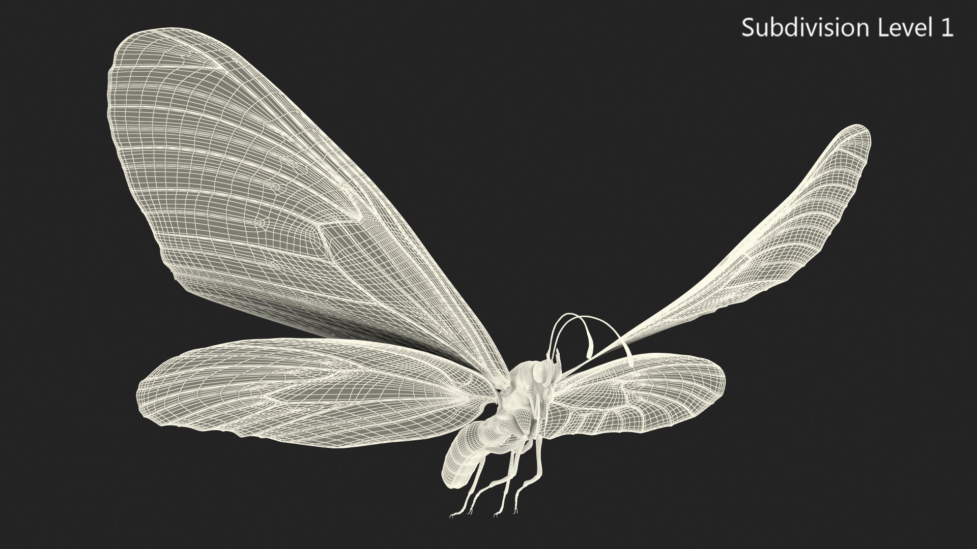 flying monarch butterfly fur 3D https://p.turbosquid.com/ts-thumb/DB/t8Vi1S/nJqF8Nbo/animatedflyingmonarchbutterflyfurrigged3dmodel010/jpg/1572249626/1920x1080/fit_q87/802a49301d007912025402a1bd0374e4a51d40d8/animatedflyingmonarchbutterflyfurrigged3dmodel010.jpg