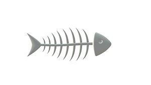 fish skeleton bones