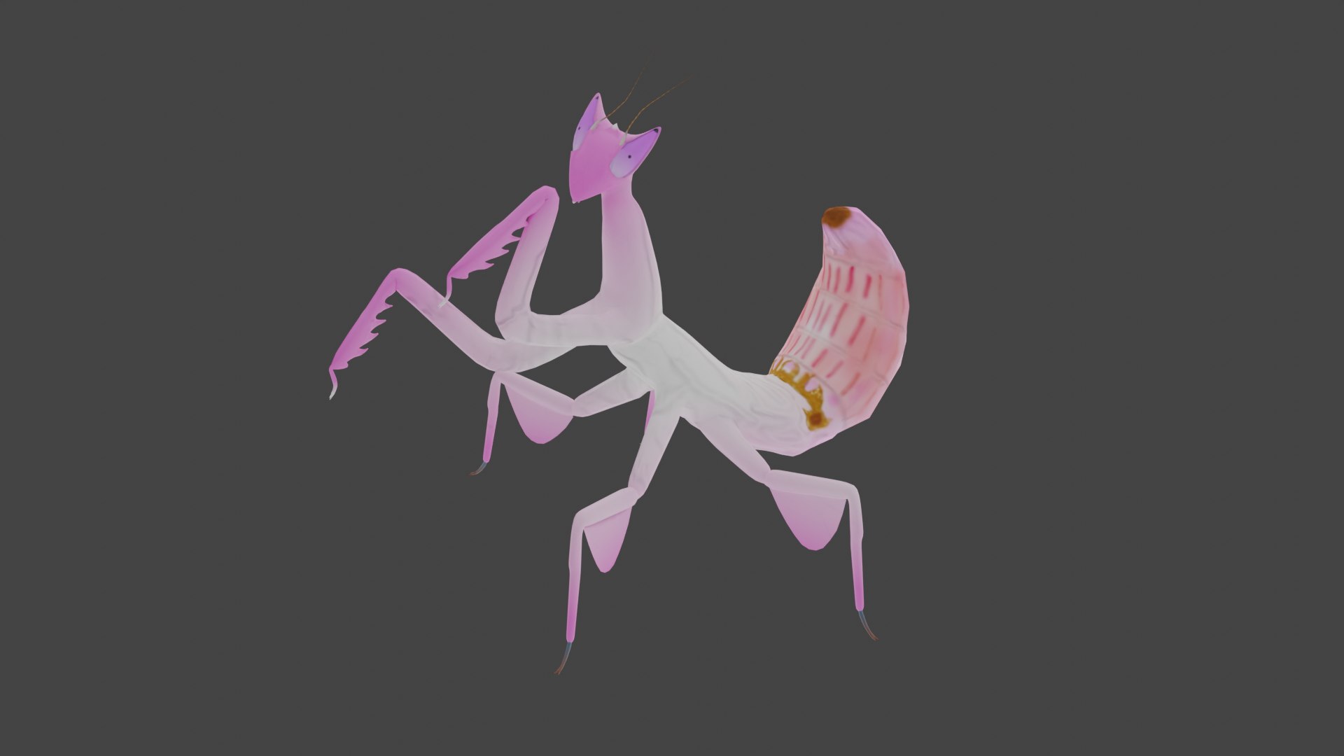 3d Model Low Poly Rigged Orchid Mantis Turbosquid 2118606 7849