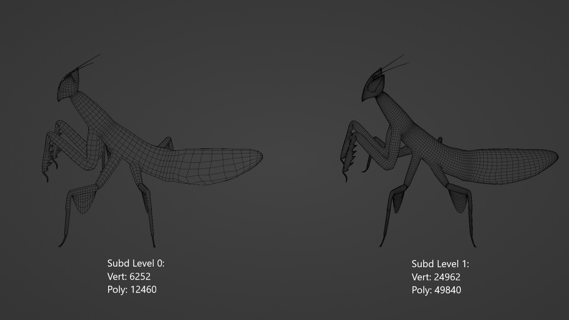 3d Model Low Poly Rigged Orchid Mantis Turbosquid 2118606 3912