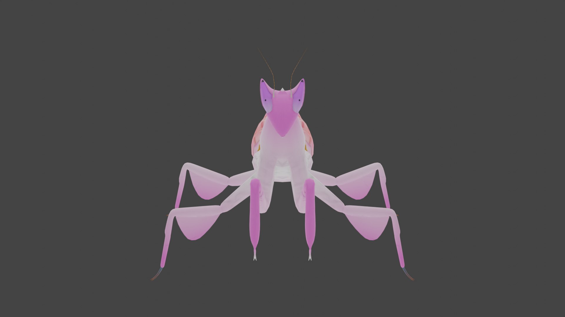 3d Model Low Poly Rigged Orchid Mantis Turbosquid 2118606 4349