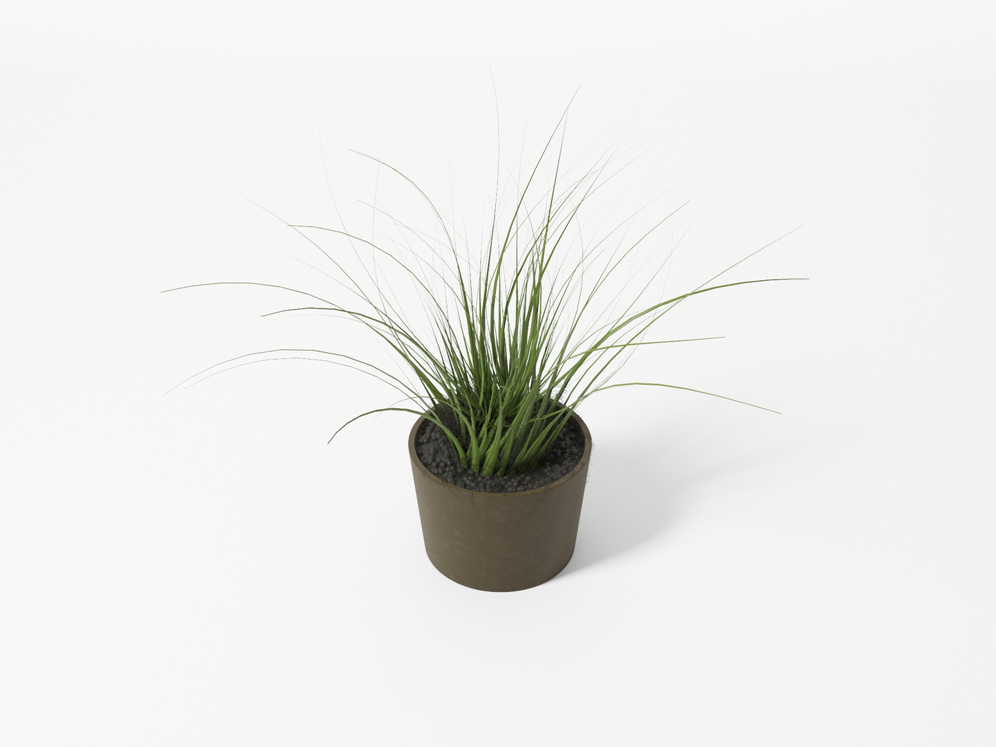 Free plant - 3D model - TurboSquid 1227648