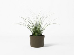 plant - 3D model