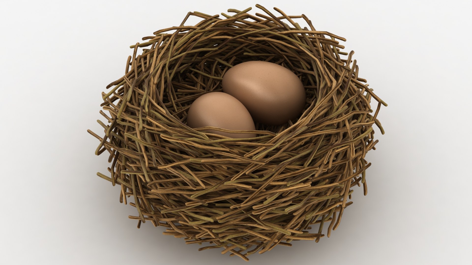 3D realistic bird nest 06 https://p.turbosquid.com/ts-thumb/DC/DBZQJG/Z0ECKDAQ/lemon_rr_03/jpg/1589911121/1920x1080/fit_q87/0cc4cde6d980b31e89b7436a67cbd0a9e9ae2eae/lemon_rr_03.jpg