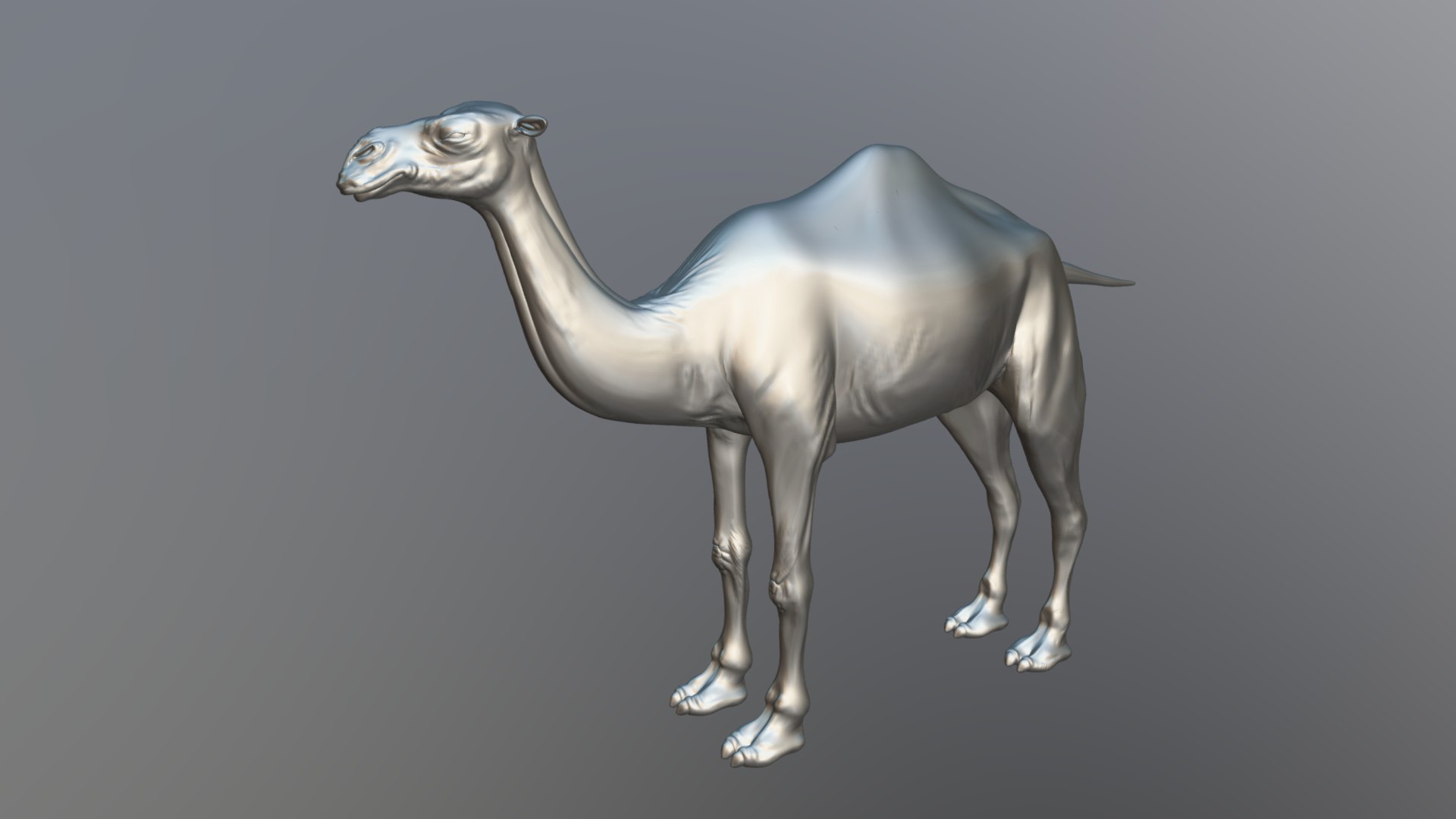 rigged camel 3D model https://p.turbosquid.com/ts-thumb/DC/FGuzNb/2V/camel_simple3/png/1611667111/1920x1080/fit_q87/c8ffd09ed629429f1c93b10ad36aafd65d3e9f3a/camel_simple3.jpg