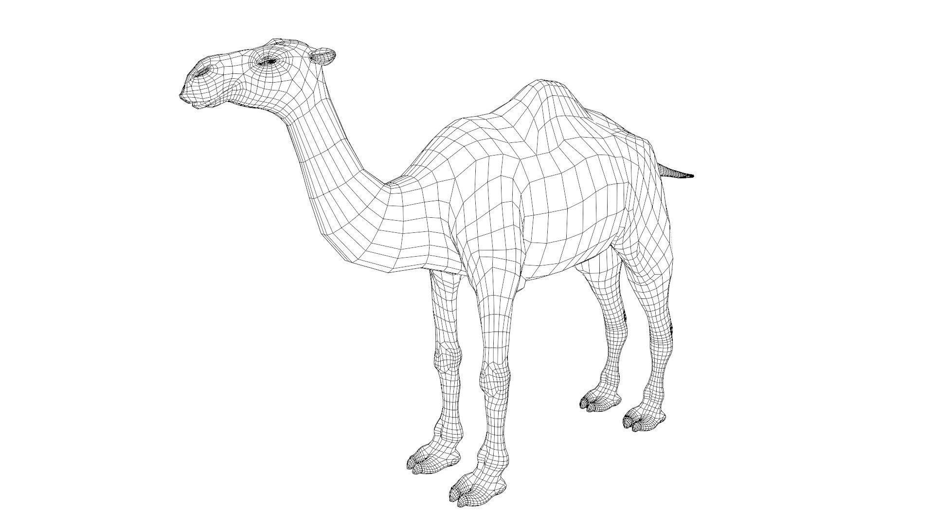 rigged camel 3D model https://p.turbosquid.com/ts-thumb/DC/FGuzNb/yt/untitled1/jpg/1611666901/1920x1080/fit_q87/67408344e8d35d2aa97f480b1f324eb1e1e7b1d8/untitled1.jpg