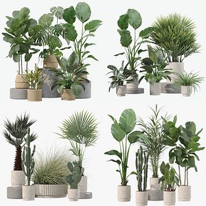 20 Photorealistic Flowers for Interiors - set 201 207 209 216 3D model