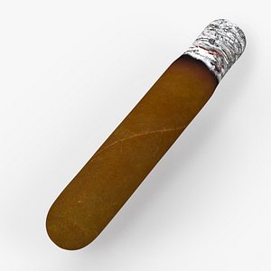 Cuban Cigar Short Smoking 3D model