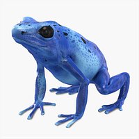 Blue Poison Dart Frog Animated