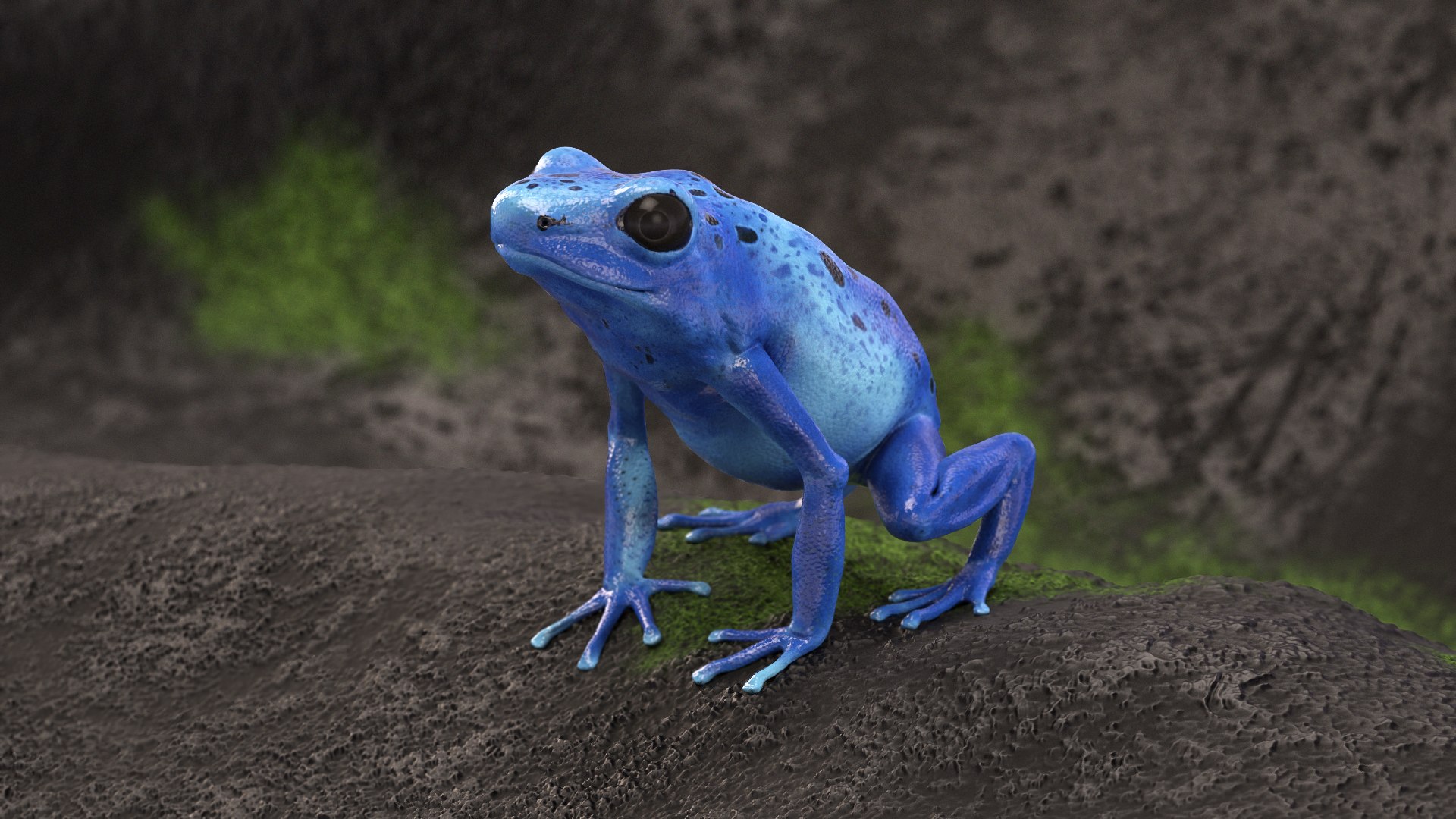 Blue Poison Dart Frog Animated 3D Model - TurboSquid 2143410