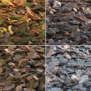 Autumn Leaves Pile