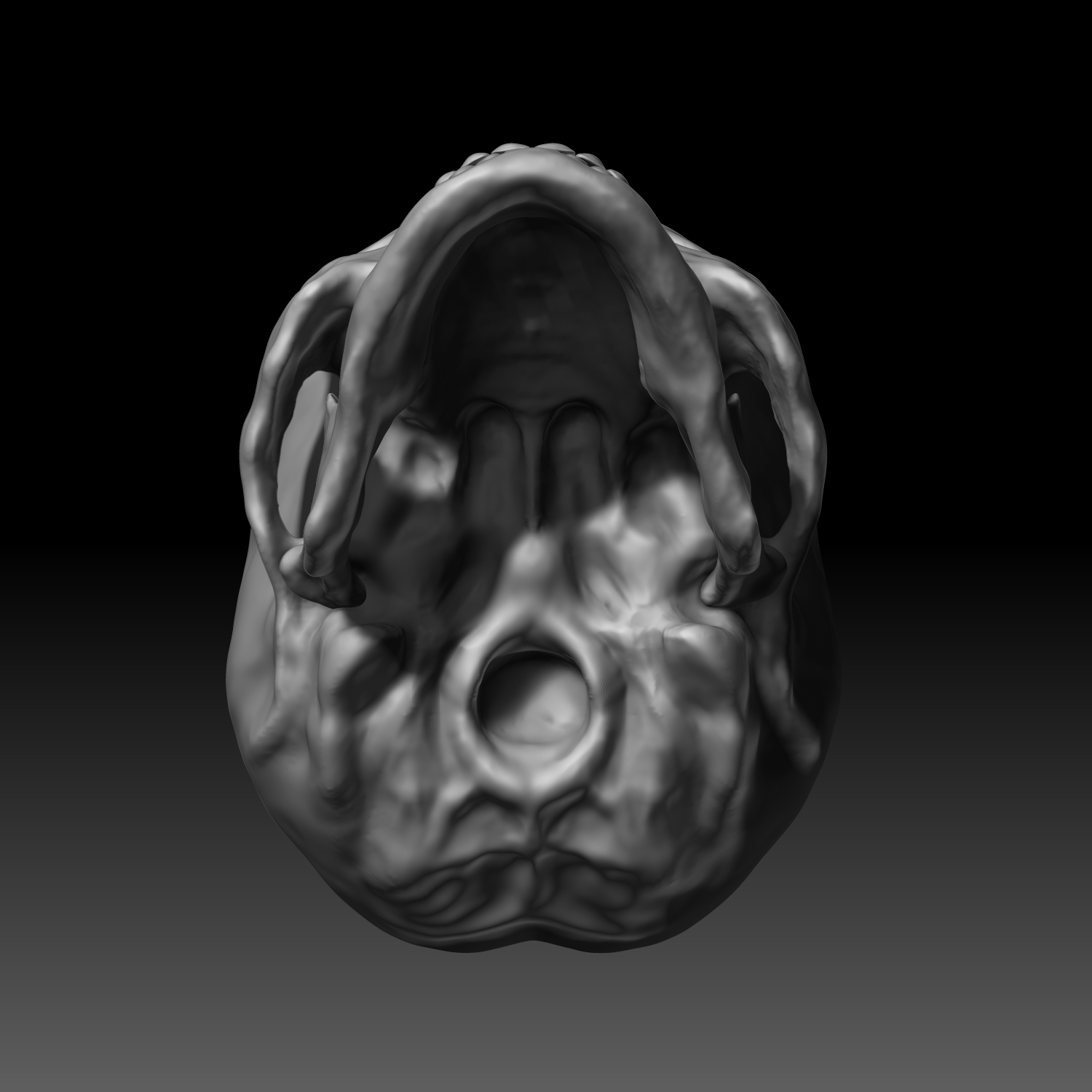 3D модель Человеческий череп - TurboSquid 1390560