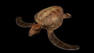 free turtle 3d model