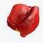 Animated Realistic Human Heart - Medically Accurate