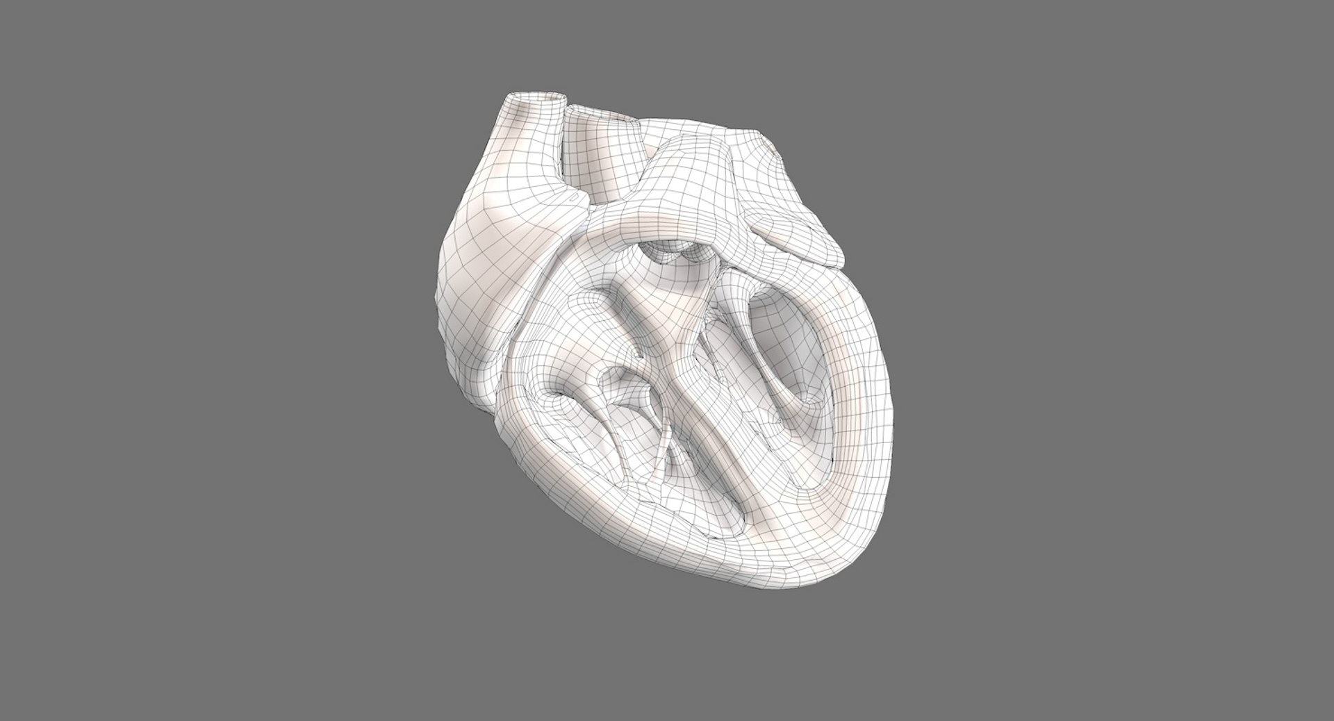 3ds human heart medically accurate https://p.turbosquid.com/ts-thumb/DD/sFRwfC/ANV8RhPs/wireframe/jpg/1463821477/1920x1080/fit_q87/7cbedf246ffa9f59600e9c8bcbec9d15e0af8152/wireframe.jpg