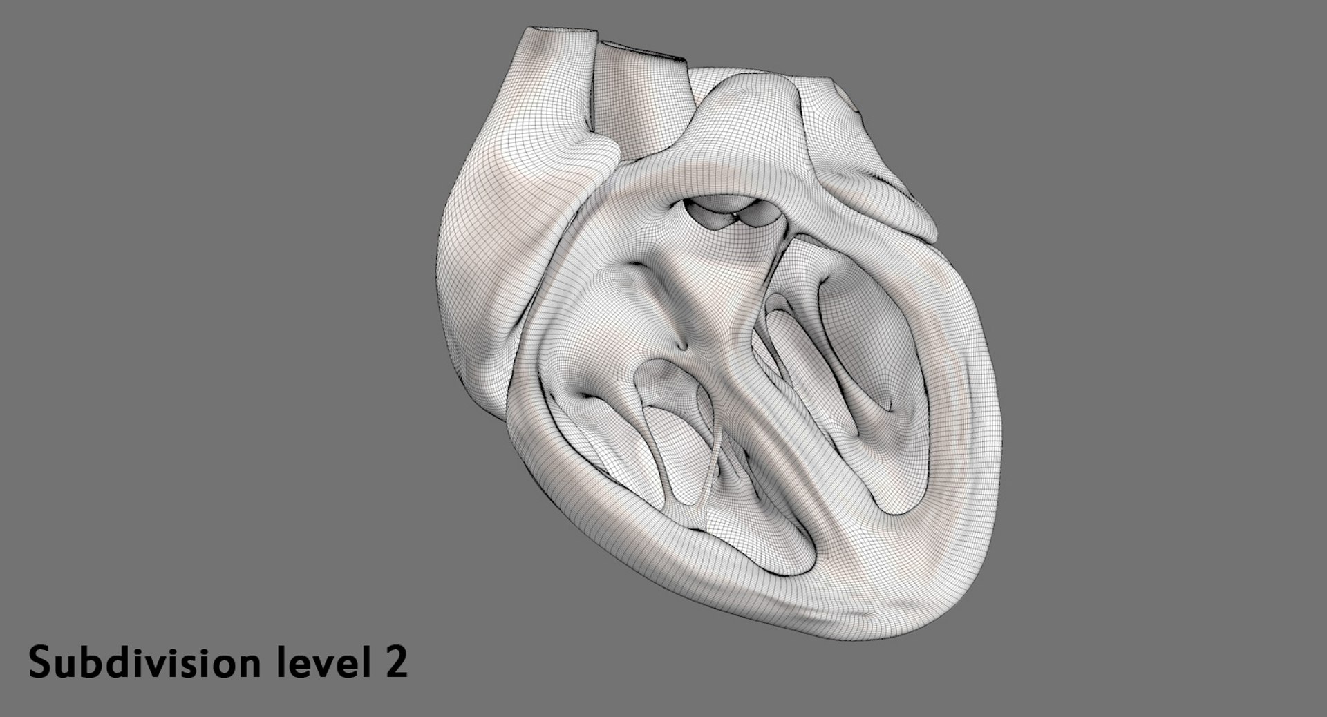 3ds human heart medically accurate https://p.turbosquid.com/ts-thumb/DD/sFRwfC/AY8MA11d/sd2/jpg/1463821477/1920x1080/fit_q87/5f80eb58a3dbf5e1920a7802e71dea8b3e2b672d/sd2.jpg