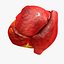 Animated Realistic Human Heart - Medically Accurate
