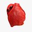 Animated Realistic Human Heart - Medically Accurate