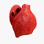 Animated Realistic Human Heart - Medically Accurate