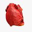 Animated Realistic Human Heart - Medically Accurate