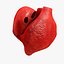 Animated Realistic Human Heart - Medically Accurate
