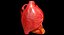 Animated Realistic Human Heart - Medically Accurate