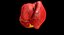 Animated Realistic Human Heart - Medically Accurate