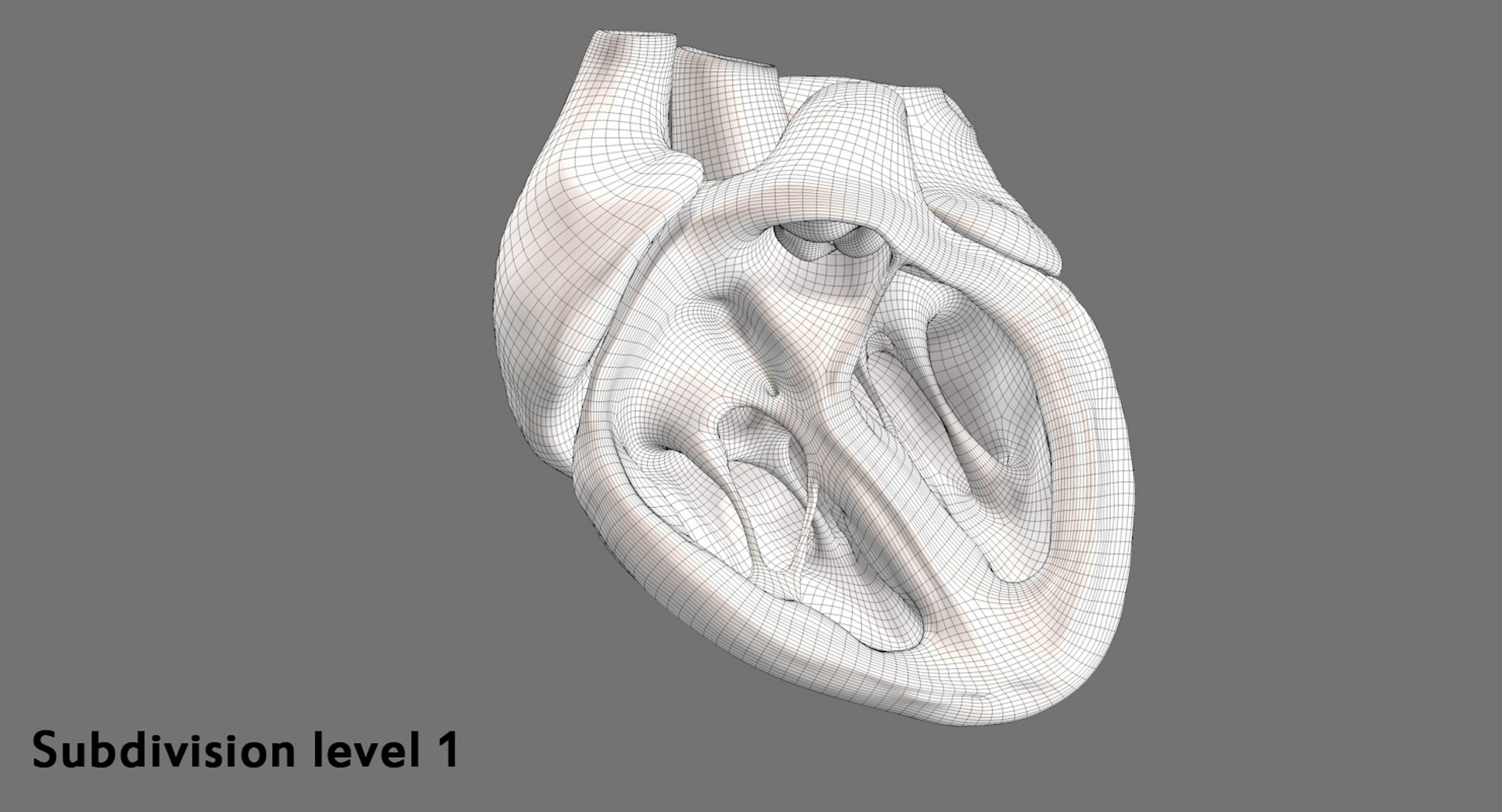 3ds human heart medically accurate https://p.turbosquid.com/ts-thumb/DD/sFRwfC/qniNGc7b/sd1/jpg/1463821477/1920x1080/fit_q87/e9f65acb94689ef55adf08f32446b1f63608d520/sd1.jpg