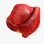 Animated Realistic Human Heart - Medically Accurate