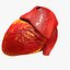 Animated Realistic Human Heart - Medically Accurate