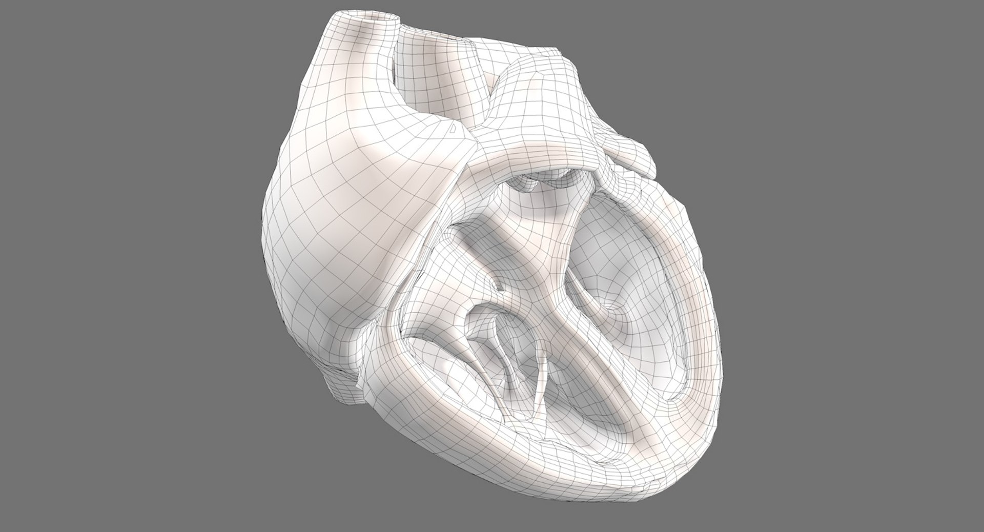 3ds human heart medically accurate https://p.turbosquid.com/ts-thumb/DD/sFRwfC/vikNpYqk/wireframe4/jpg/1463821477/1920x1080/fit_q87/9c74c7b4b8038e9c6d9ab53e9570d02aa24a7e87/wireframe4.jpg