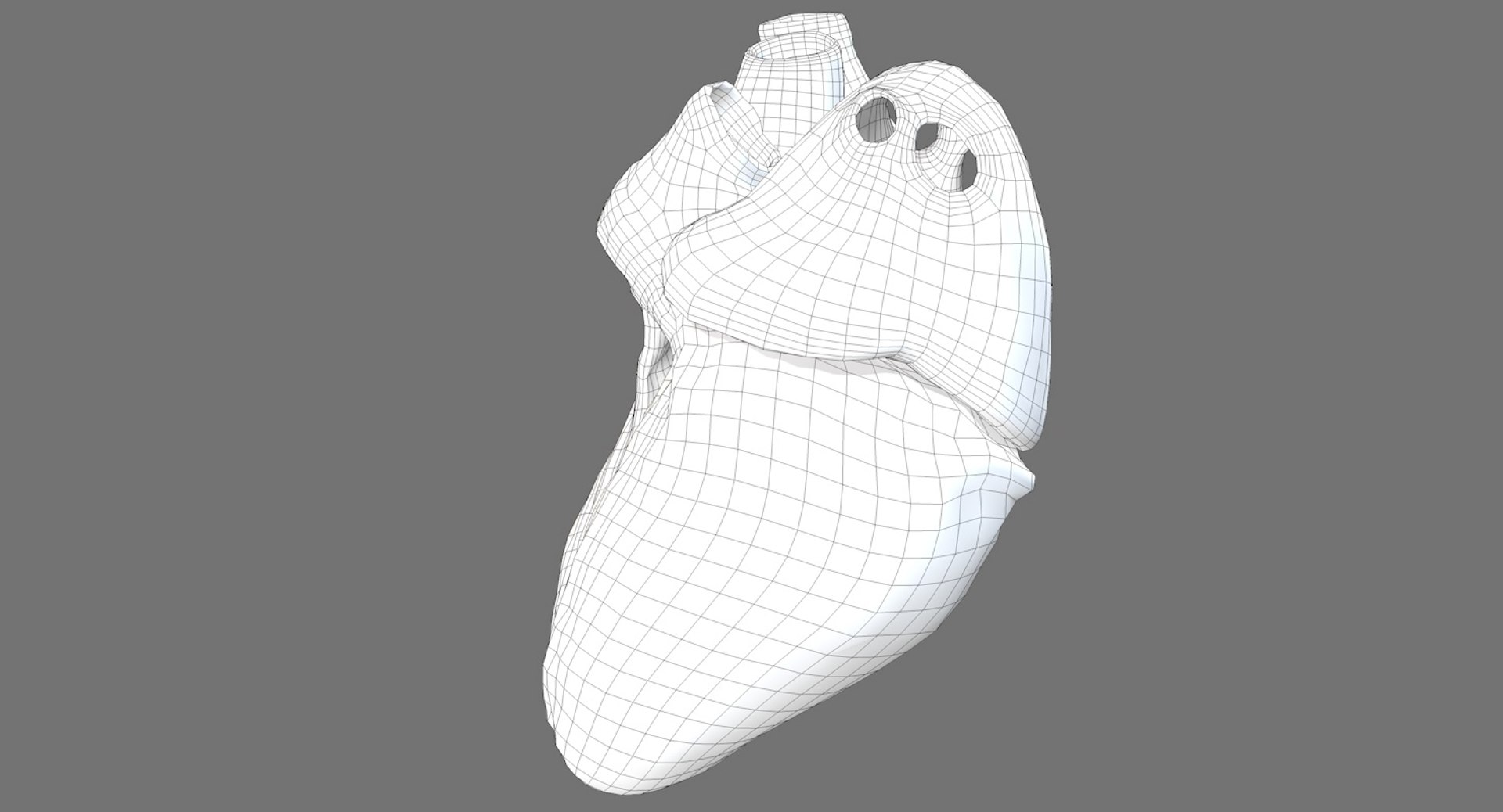3ds human heart medically accurate https://p.turbosquid.com/ts-thumb/DD/sFRwfC/xm7wM9tX/wireframe3/jpg/1463821477/1920x1080/fit_q87/967ac9413928ca3fe7db9ff4a47ba1751305fb4b/wireframe3.jpg