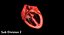 Animated Realistic Human Heart - Medically Accurate