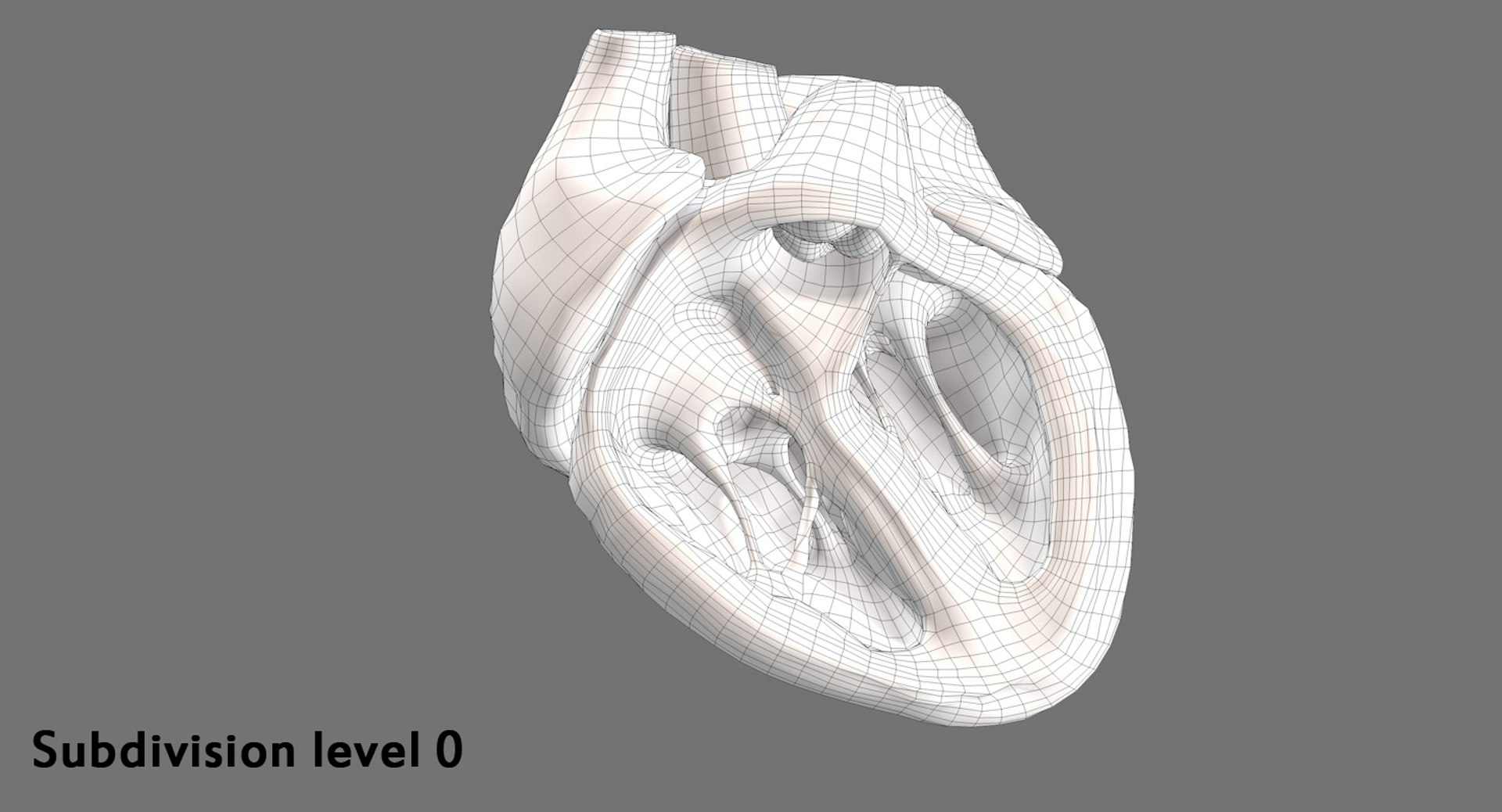 3ds human heart medically accurate https://p.turbosquid.com/ts-thumb/DD/sFRwfC/zMgFjOwS/sd0/jpg/1463821477/1920x1080/fit_q87/9f8a0c4df7928cf473c0197d000f8e14f17a4acd/sd0.jpg